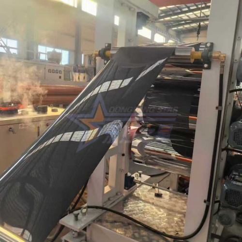 Dezhou ဖောက်သည်သည် POK HIPS စက်ပစ္စည်းကို စစ်ဆေးသည်။